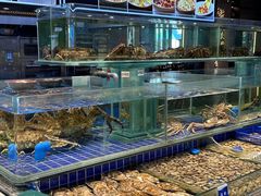 -望海湾海鲜楼·海鲜(河南路店)