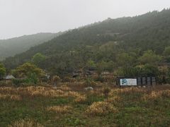 -花岙岛