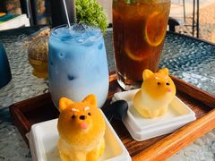 -柴犬高等学院·狗咖·柴犬售卖·宠物训练