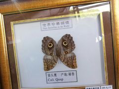 -太原动物园