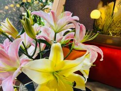 -花隐·美芙炫海菲秀皮肤管理中心