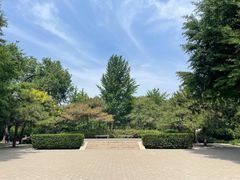 -玲珑塔公园