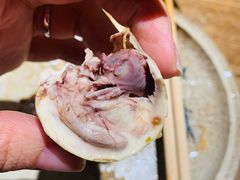 -鸽子窝(青塔店)