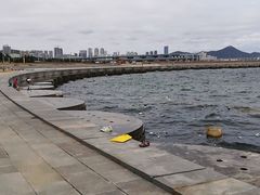 -星海湾跨海大桥