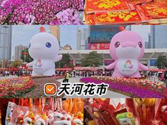 -天河体育中心