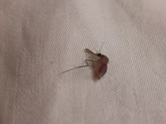 -京基滨河时代广场