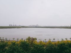 -天津东丽湖风景区