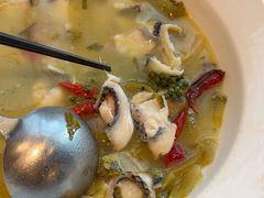 -望乡楼上海菜(日月光店)