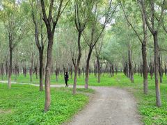 -马家湾湿地公园