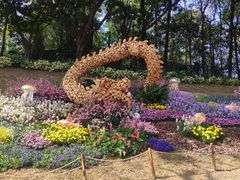 -广州市白云山风景名胜区