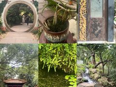 -广州兰圃