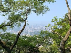 -梧桐山风景名胜区