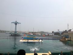 -秦皇岛乐岛海洋王国