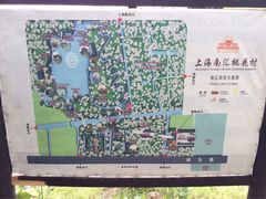 -南汇桃花村