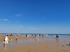 -日照海滨国家森林公园