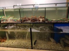 -海九澎湖海鲜餐厅