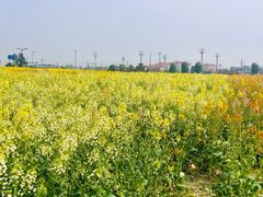 -中国天府农业博览园