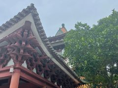 -顺峰山公园