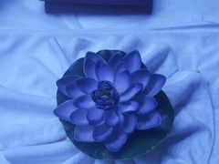 -仪雅阁·泡浴SPA养生馆