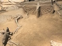 -洛阳周王城天子驾六博物馆