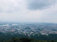 -紫金山山顶公园