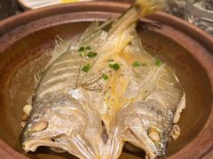 88秒小黄鱼-桐爷小馆(广渠门店)