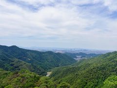 -午潮山国家森林公园
