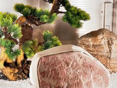 -牛道·和牛九食(市府恒隆广场店)