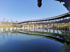 -眉山湿地公园(东坡区)