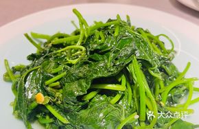Golden Herb Stir-fried Sweet Potato Leaves