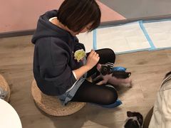 -浣熊柯尔鸭土拨鼠·电玩咖