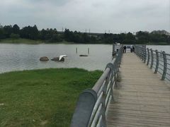 -美兰湖景区