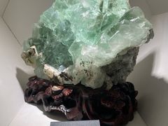 -安徽省地质博物馆