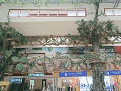 -呀诺达热带雨林