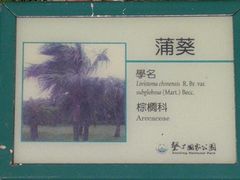 -鹅銮鼻公园