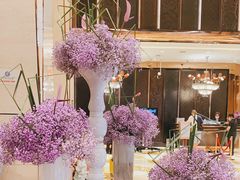 -西安赛瑞喜来登大酒店