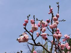 -国家植物园