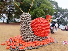 -上海月湖雕塑公园