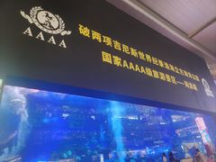 -成都浩海立方海洋公园