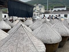 -苏州市吴中区光福窑上花果蜜饯厂