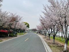 -阳澄湖半岛旅游度假区