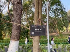 -东莞植物园
