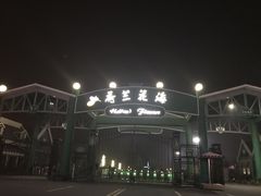 -荷兰花海