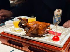 -大鸽饭(动物园店)