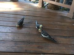 -南宫五洲植物乐园