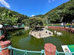-大连老虎滩海洋公园
