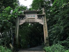 -梧桐山风景名胜区