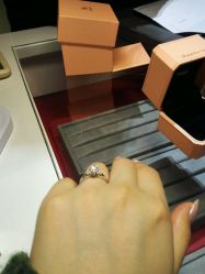 -Zbird钻石小鸟·钻戒婚戒定制高端珠宝私人定制中心