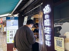 -猫的魔法密林(衣裳街店)