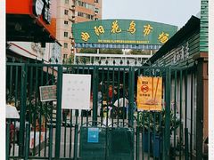 -曲阳花鸟市场(曲阳路店)